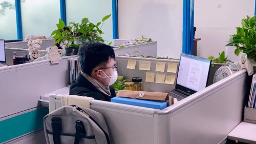 疫情期间，Z6官网软件成功研发7套防疫助力软件